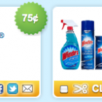 Cleaning Coupons: Windex, Shout and More