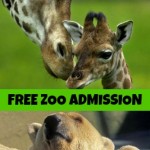 FREE Zoo Admission For Mother’s Day